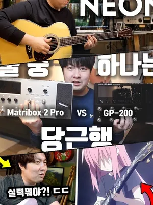 기타나무숲