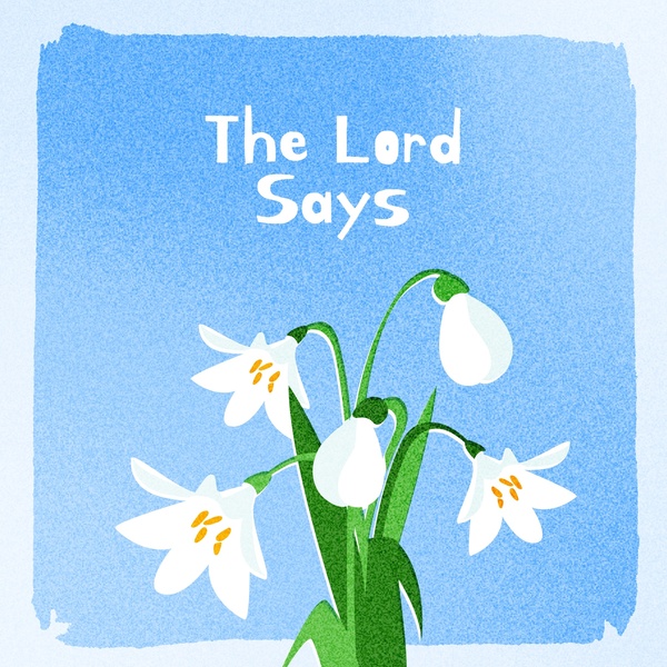 신지인 - 주 말씀하시니